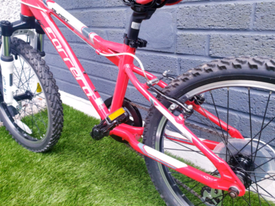 carrera blast 20 inch bike